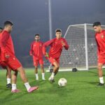 الأسود المحلية تلاقي مدغشقر وعينها على الظفر باللقب